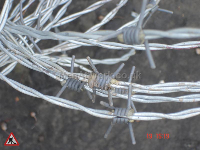 Barbed Wire - Barbed wire (4)