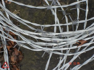 Barbed Wire - Barbed wire (5)